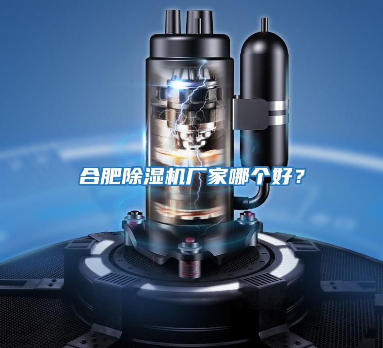 合肥除濕機(jī)廠家哪個(gè)好?