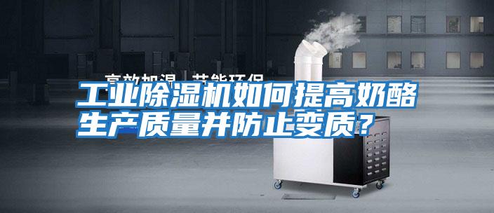 工業(yè)除濕機(jī)如何提高奶酪生產(chǎn)質(zhì)量并防止變質(zhì)?