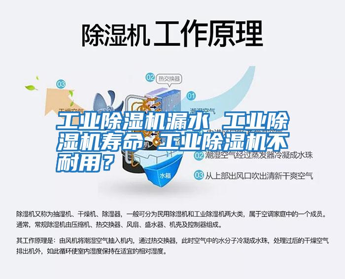 工業(yè)除濕機漏水 工業(yè)除濕機壽命 工業(yè)除濕機不耐用？