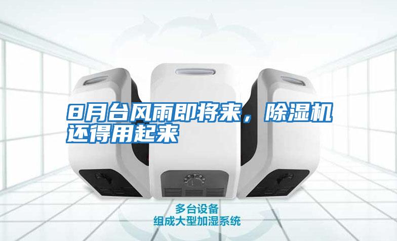 8月臺風雨即將來,除濕機還得用起來