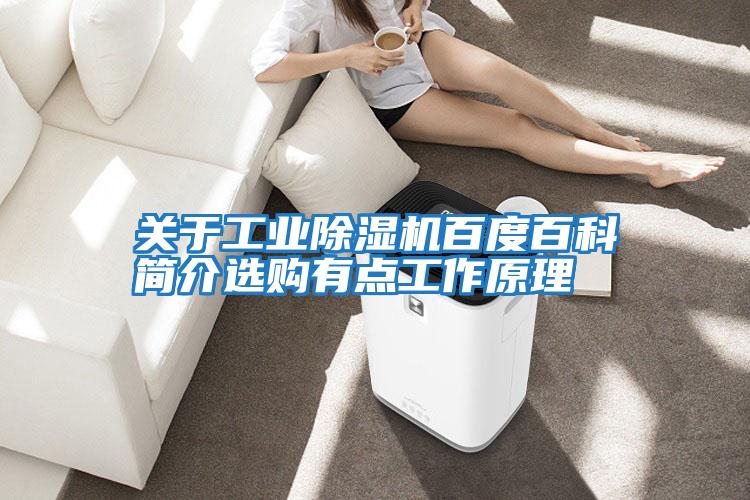 關于工業(yè)除濕機百度百科簡介選購有點工作原理