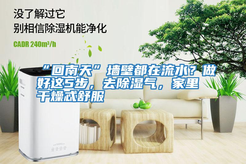 “回南天”墻壁都在流水?做好這5步,去除濕氣,家里干燥忒舒服