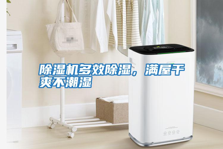 除濕機多效除濕，滿屋干爽不潮濕