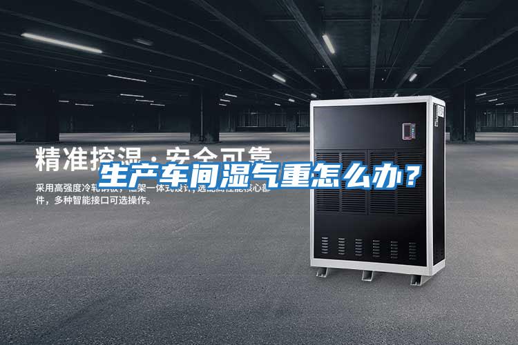 生產(chǎn)車(chē)間濕氣重怎么辦?