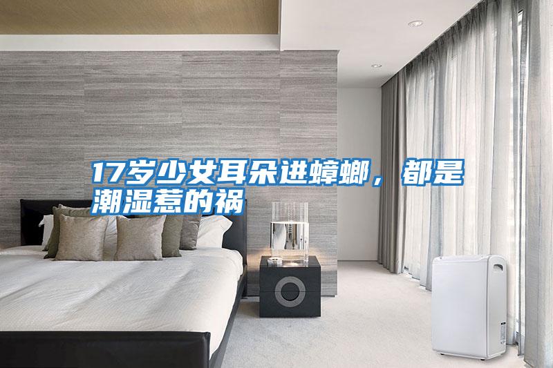 17歲少女耳朵進蟑螂，都是潮濕惹的禍