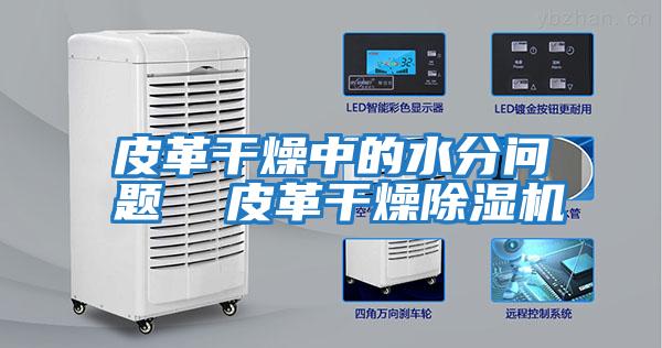 皮革干燥中的水分問題 皮革干燥除濕機(jī)