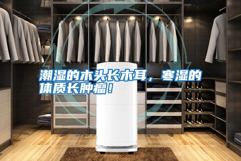 潮濕的木頭長木耳,寒濕的體質(zhì)長腫瘤!