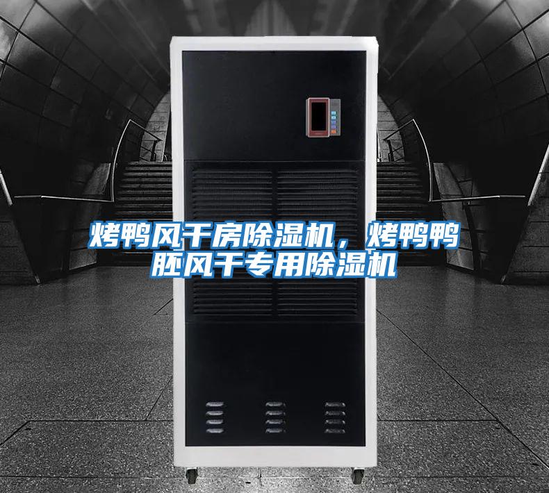 烤鴨風干房除濕機,烤鴨鴨胚風干專用除濕機