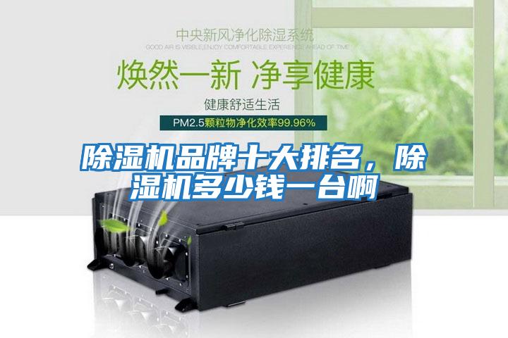 除濕機品牌十大排名，除濕機多少錢一臺啊