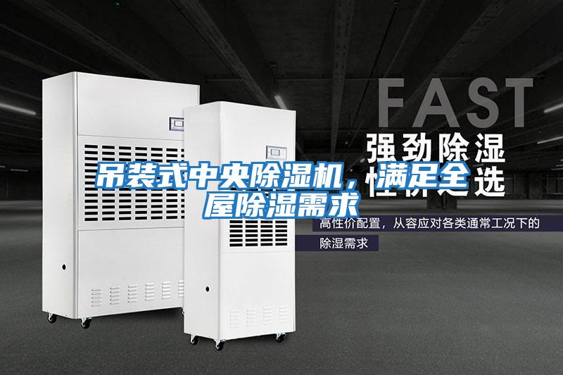 吊裝式中央除濕機(jī),滿足全屋除濕需求