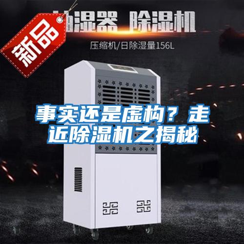 事實還是虛構?走近除濕機之揭秘