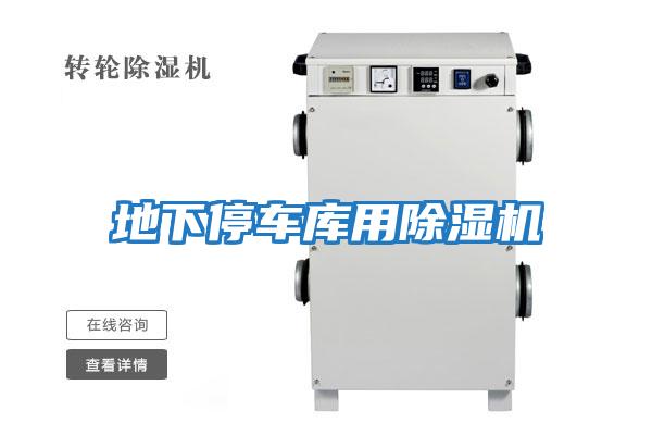 地下停車(chē)庫(kù)用除濕機(jī)