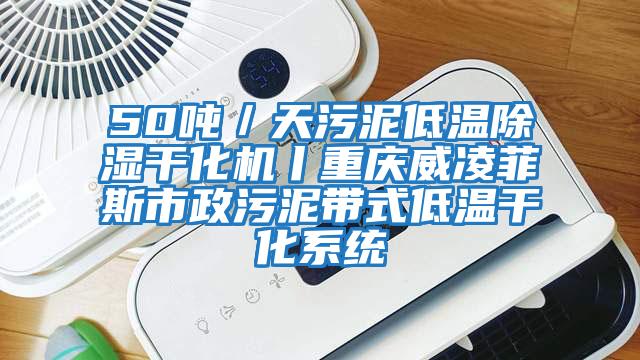 50噸/天污泥低溫除濕干化機丨重慶威凌菲斯市政污泥帶式低溫干化系統