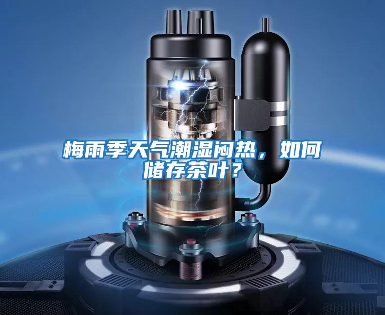 梅雨季天氣潮濕悶熱,如何儲(chǔ)存茶葉?