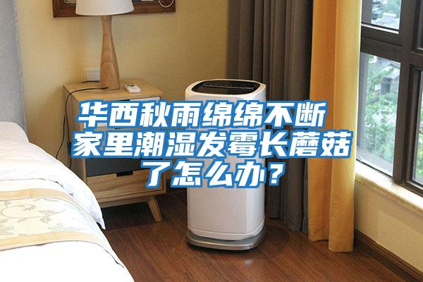 華西秋雨綿綿不斷 家里潮濕發霉長蘑菇了怎么辦？