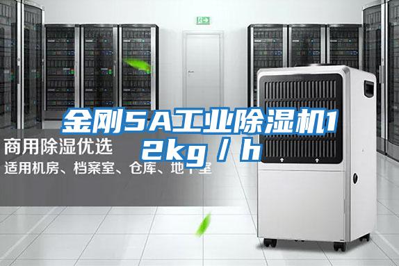 金剛5A工業除濕機12kg/h