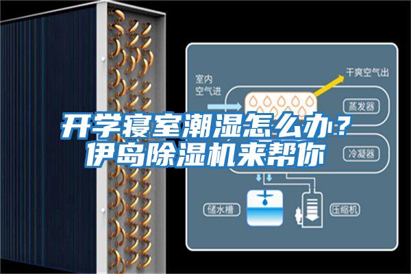 開學寢室潮濕怎么辦?伊島除濕機來幫你