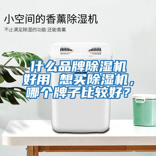 什么品牌除濕機好用 想買除濕機,哪個牌子比較好?