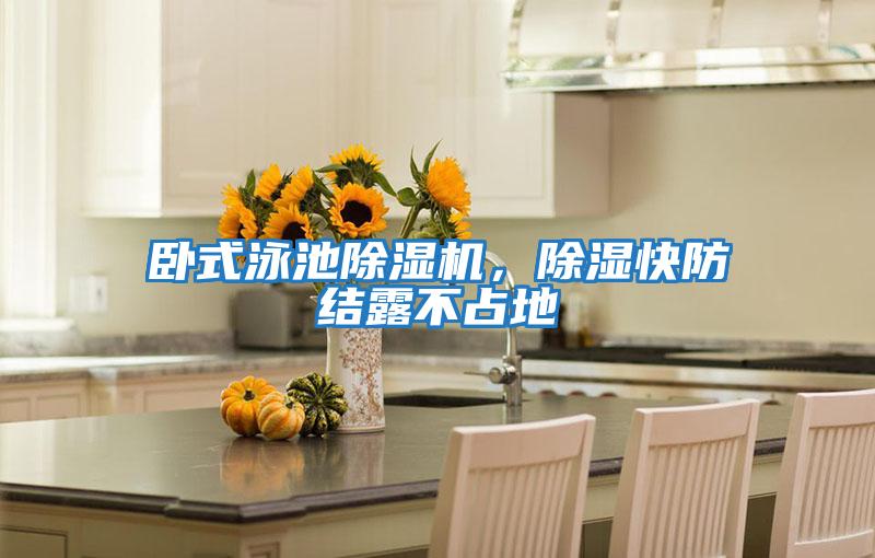 臥式泳池除濕機,除濕快防結露不占地