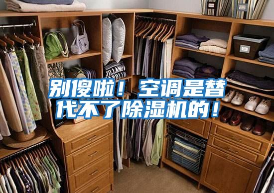 別傻啦!空調(diào)是替代不了除濕機(jī)的!