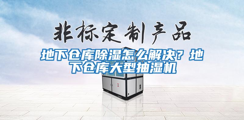 地下倉(cāng)庫(kù)除濕怎么解決?地下倉(cāng)庫(kù)大型抽濕機(jī)