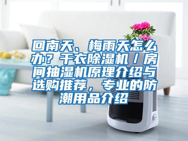 回南天、梅雨天怎么辦？干衣除濕機／房間抽濕機原理介紹與選購?fù)扑]，專業(yè)的防潮用品介紹