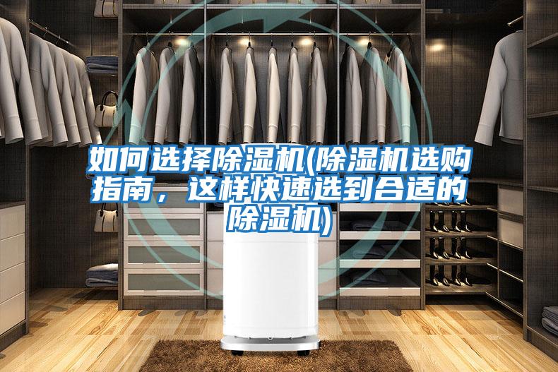 如何選擇除濕機(除濕機選購指南，這樣快速選到合適的除濕機)