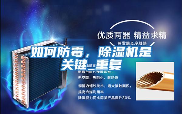 如何防霉，除濕機是關鍵_重復