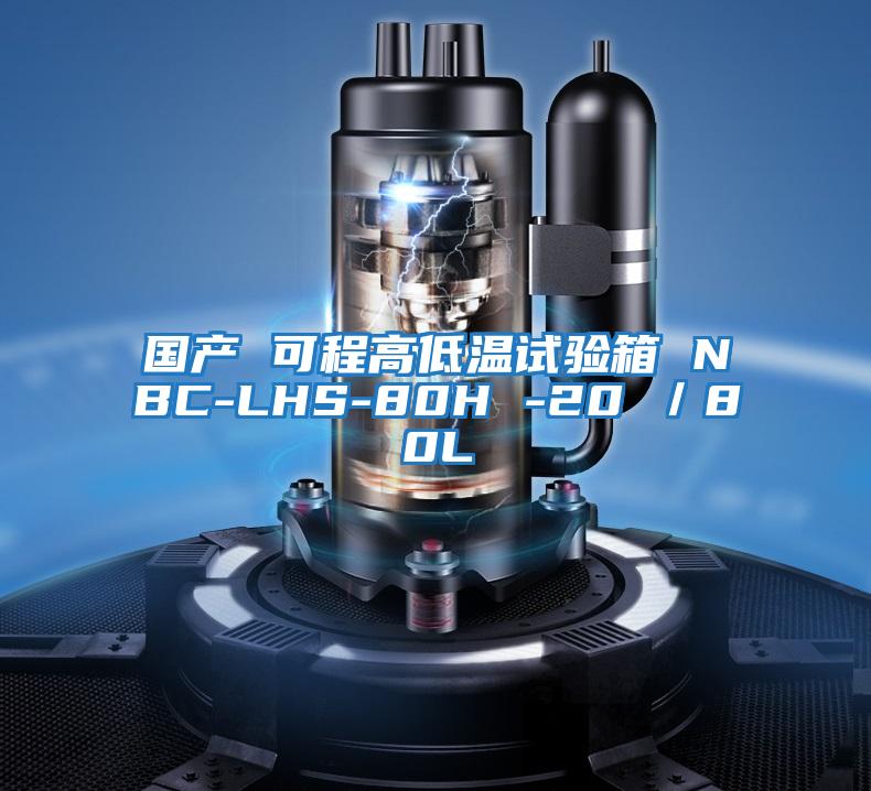 國(guó)產(chǎn) 可程高低溫試驗(yàn)箱 NBC-LHS-80H -20℃/80L