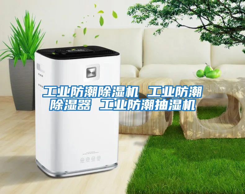 工業防潮除濕機 工業防潮除濕器 工業防潮抽濕機