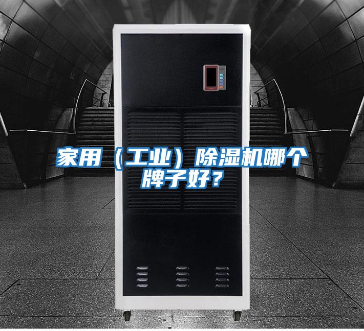 家用（工業(yè)）除濕機哪個牌子好？