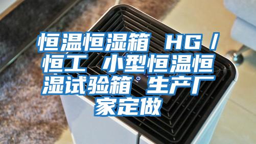 恒溫恒濕箱 HG/恒工 小型恒溫恒濕試驗箱 生產廠家定做