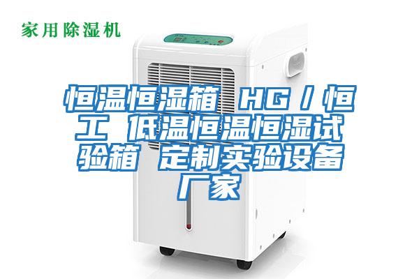 恒溫恒濕箱 HG/恒工 低溫恒溫恒濕試驗箱 定制實驗設備廠家
