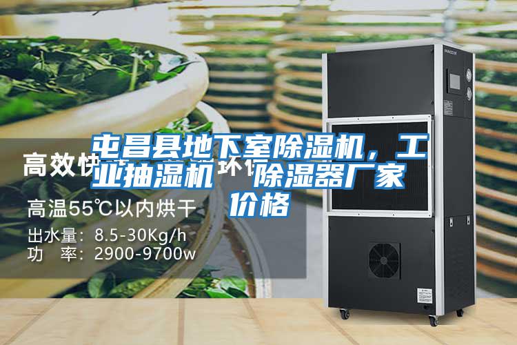 屯昌縣地下室除濕機(jī)，工業(yè)抽濕機(jī)  除濕器廠家 價(jià)格