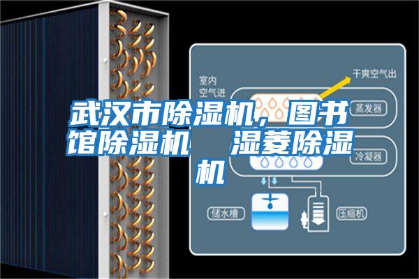 武漢市除濕機，圖書館除濕機  濕菱除濕機