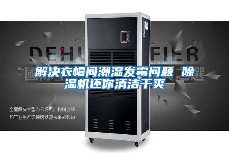解決衣帽間潮濕發霉問題 除濕機還你清潔干爽