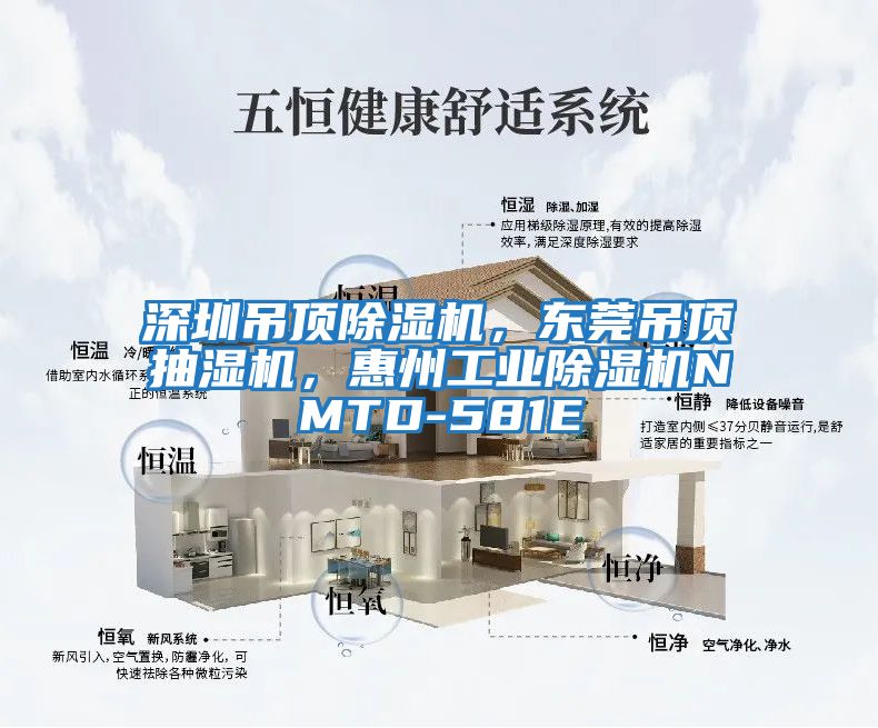 深圳吊頂除濕機,東莞吊頂抽濕機,惠州工業(yè)除濕機NMTD-581E