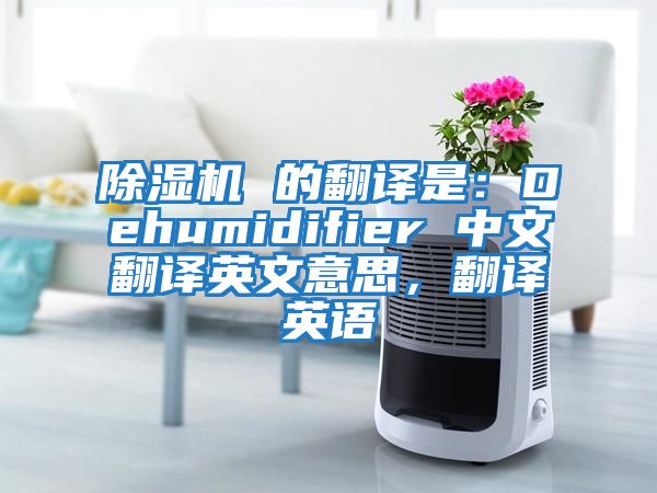 除濕機(jī) 的翻譯是：Dehumidifier 中文翻譯英文意思，翻譯英語(yǔ)