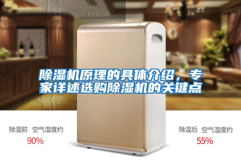 除濕機原理的具體介紹,專家詳述選購除濕機的關鍵點