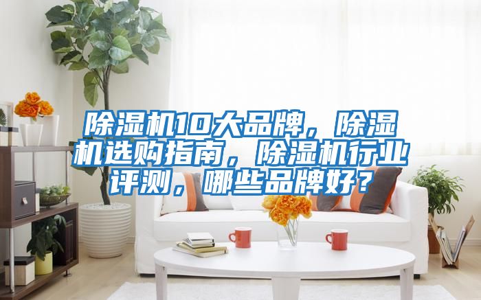 除濕機10大品牌，除濕機選購指南，除濕機行業評測，哪些品牌好？