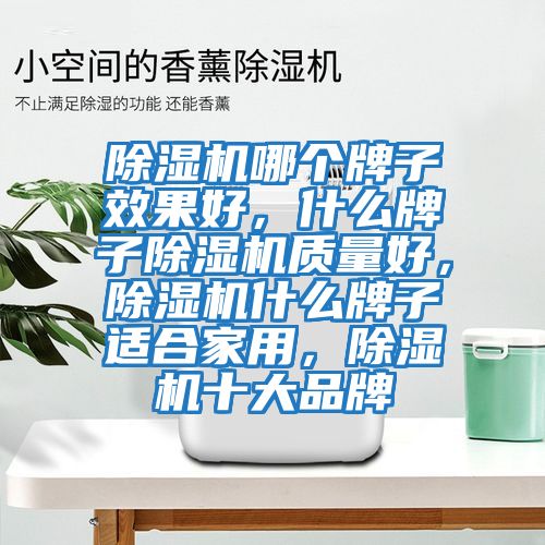 除濕機哪個牌子效果好，什么牌子除濕機質量好，除濕機什么牌子適合家用，除濕機十大品牌