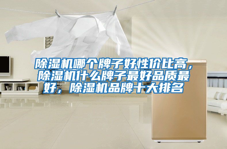 除濕機(jī)哪個(gè)牌子好性價(jià)比高，除濕機(jī)什么牌子最好品質(zhì)最好，除濕機(jī)品牌十大排名