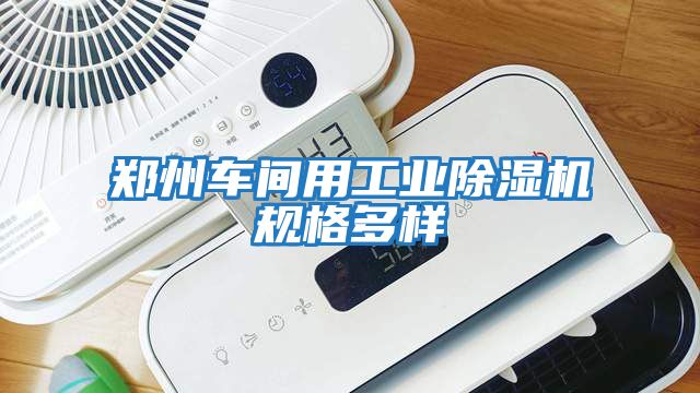 鄭州車間用工業除濕機規格多樣
