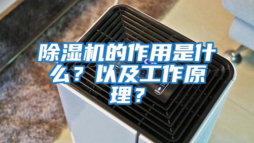 除濕機的作用是什么？以及工作原理？