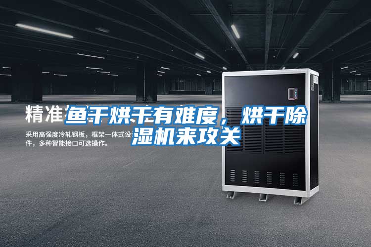 魚干烘干有難度,烘干除濕機來攻關(guān)