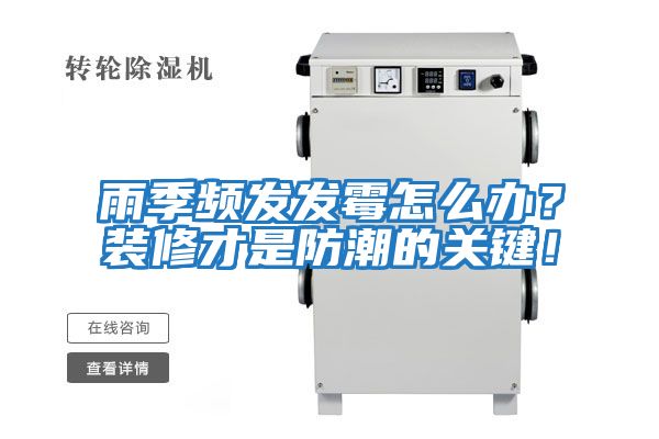 雨季頻發發霉怎么辦？裝修才是防潮的關鍵！