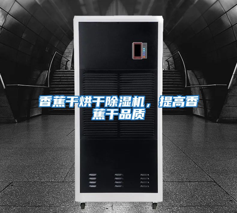 香蕉干烘干除濕機(jī),提高香蕉干品質(zhì)