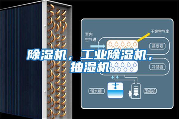 除濕機，工業(yè)除濕機，抽濕機