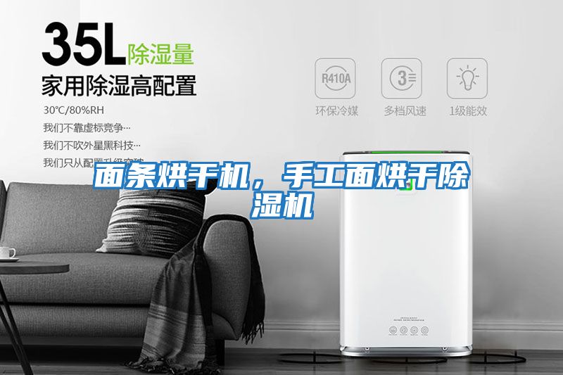 面條烘干機(jī)，手工面烘干除濕機(jī)