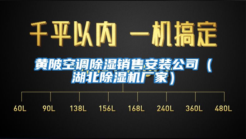 黃陂空調(diào)除濕銷售安裝公司(湖北除濕機(jī)廠家)